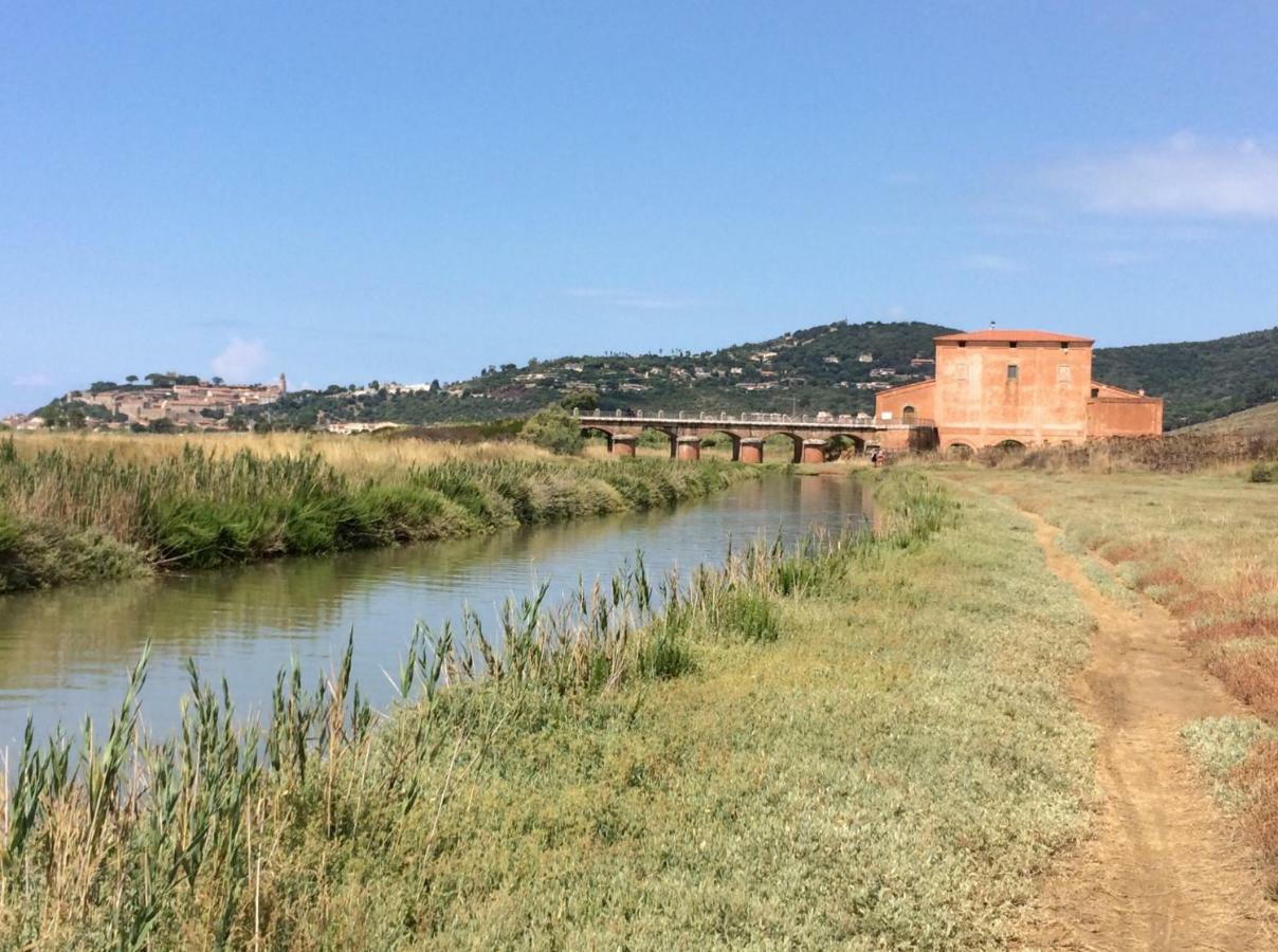 Direttamente Sulla Spiaggia Castiglione della Pescaia Dış mekan fotoğraf